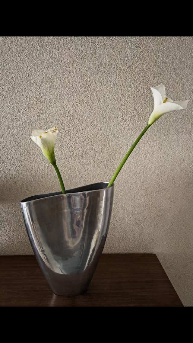 ✨️VINTAGE IKEA ‘ANATOMI’ VAAS ✨

​Iconisch verzamelobject uit de jaren '80: 
de legendarische ‘Anatomi’ vaas, ontworpen door de bekende Zweedse ontwerpster Anna Efverlund voor IKEA. Gemaakt van zware kwaliteit gegoten aluminium, wat zorgt voor een fantastisch contrast tussen de stoere, ruwe gietstructuur aan de binnenkant en de hoogglans gepolijste buitenkant. 
Het vloeiende, asymmetrische lijnenspel en de golvende rand doen direct denken aan hoogwaardig postmodern organic design. Een zeldzaam en gezocht stuk dat vanuit elke hoek weer compleet anders oogt. Style hem minimalistisch met een paar architectonische bloemen (zoals de elegante Calla lelies op de foto), of laat de vloeiende vormen puur als kunstobject voor zichzelf spreken.

​▫️ Staat: In mooie, vintage staat met een subtiel, karakteristiek patina op het metaal dat perfect past bij de leeftijd. Volledig intact, stevig en zwaar van kwaliteit.

▫️ Details: Ontwerp van Anna Efverlund voor IKEA (jaren '80). 
Afm: hxbxd = 30x25x8cm 

▪️ Prijs €45,- ex.porto

Reageer hieronder met VERKOCHT 👇🏼